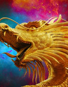 dragon-books-about